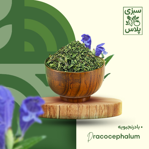 بادرنجبویه