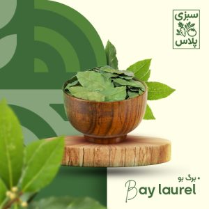 برگ بو خشک
