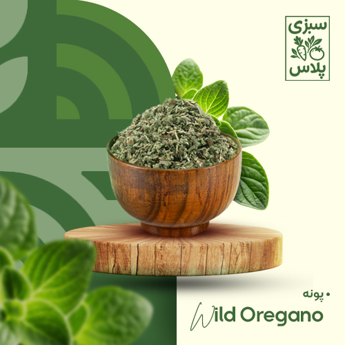 پونه