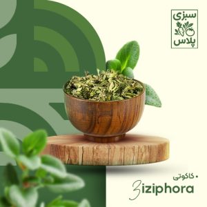 کاکوتی خشک