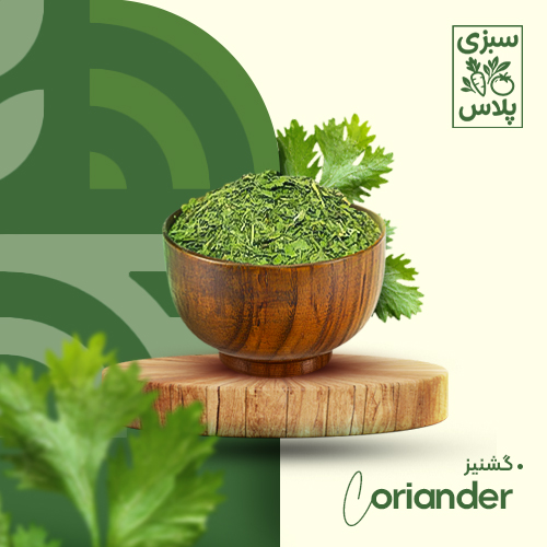 گشنیز